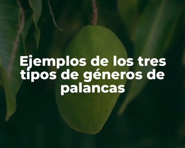 Ejemplos de los tres tipos de géneros de palancas