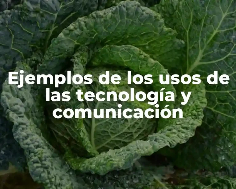 Ejemplos de los usos de las tecnología y comunicación