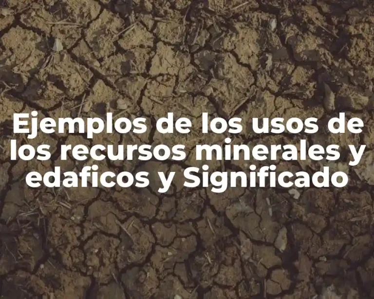 Ejemplos de los usos de los recursos minerales y edaficos y Significado