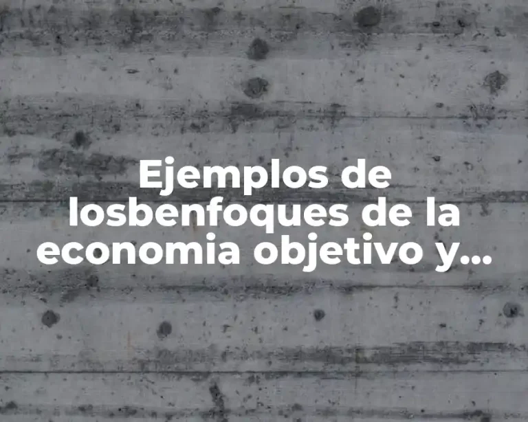 Ejemplos de losbenfoques de la economia objetivo y subjetivo y Significado