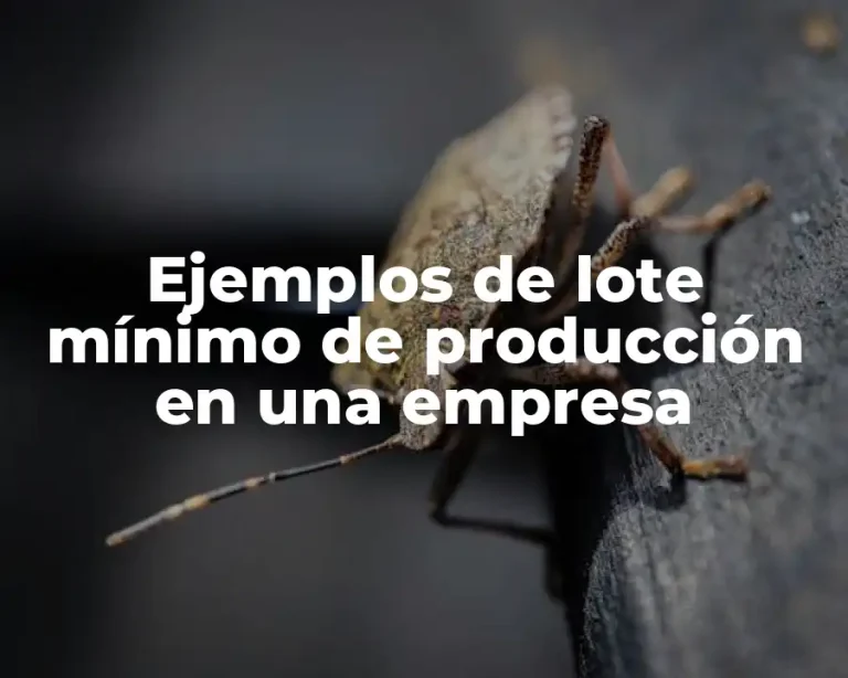 Ejemplos de lote mínimo de producción en una empresa
