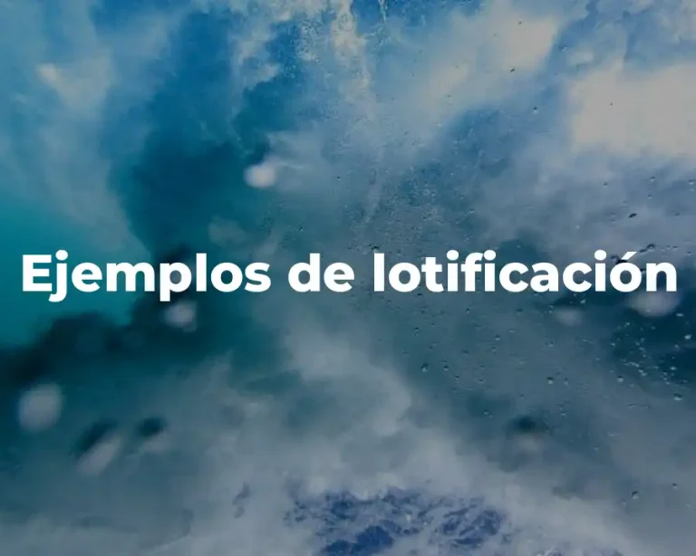 Ejemplos de lotificación