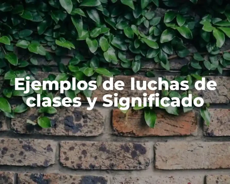 Ejemplos de luchas de clases y Significado