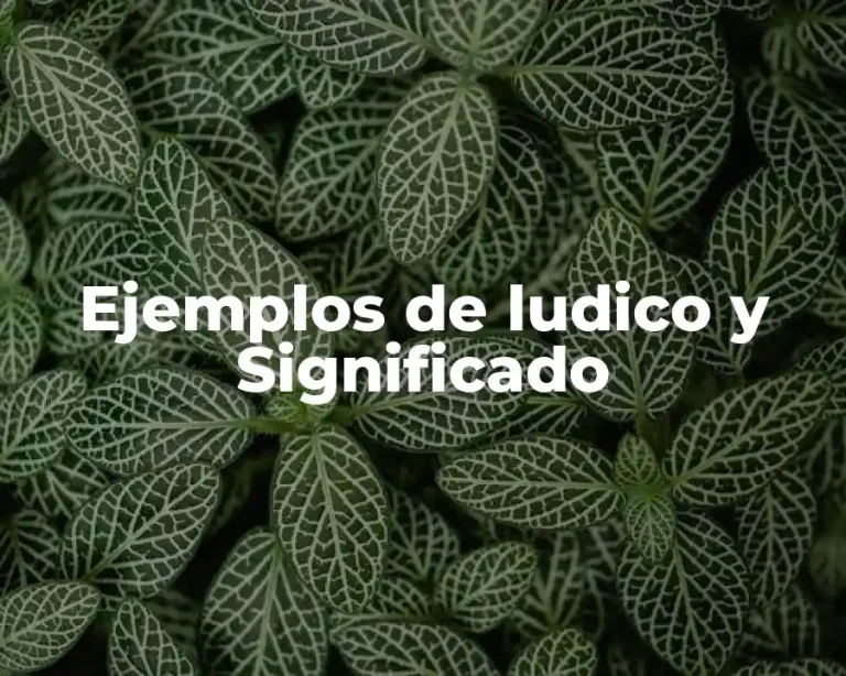Ejemplos de ludico y Significado