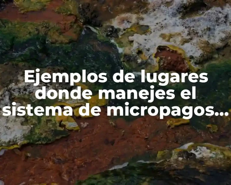 Ejemplos de lugares donde manejes el sistema de micropagos y Significado