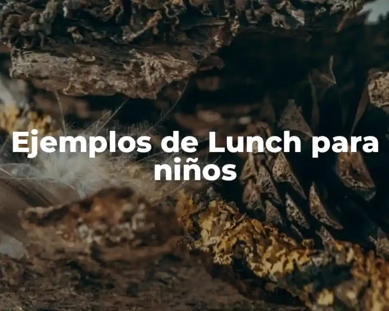 Ejemplos de Lunch para niños