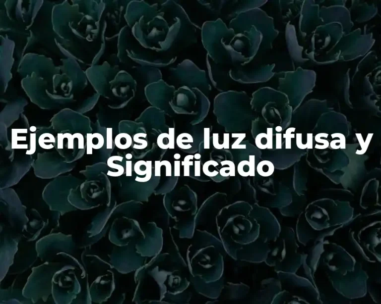Ejemplos de luz difusa y Significado