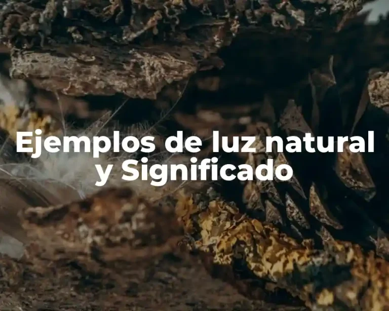 Ejemplos de luz natural y Significado