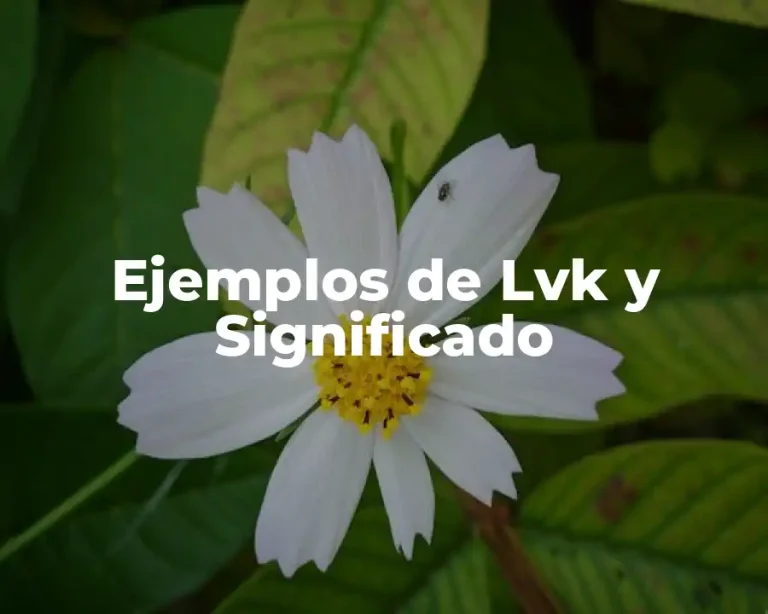 Ejemplos de Lvk y Significado