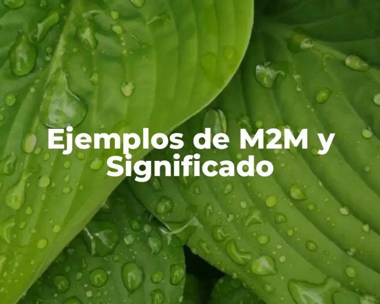 Ejemplos de M2M y Significado