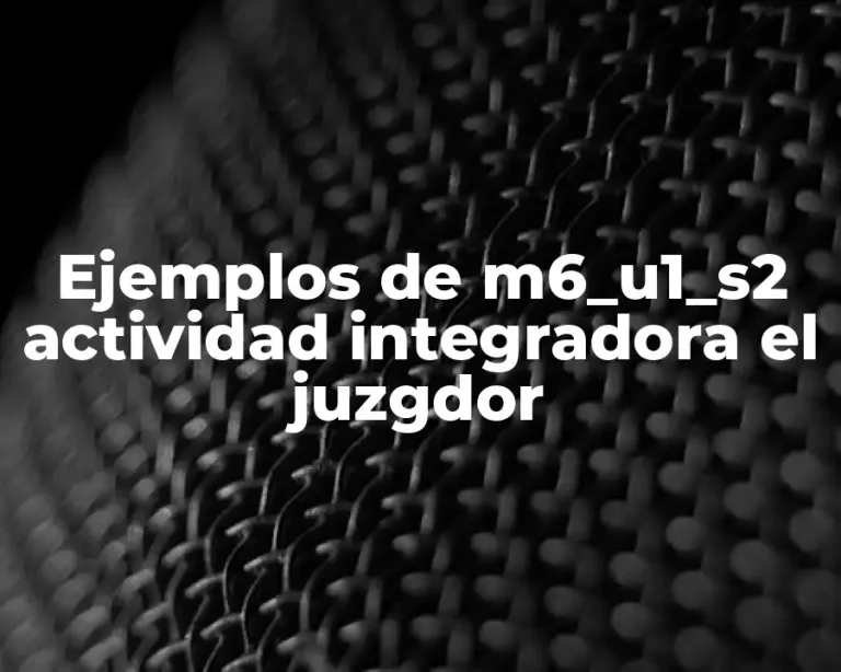 Ejemplos de m6_u1_s2 actividad integradora el juzgdor