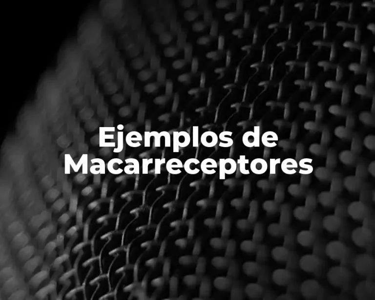 Ejemplos de Macarreceptores