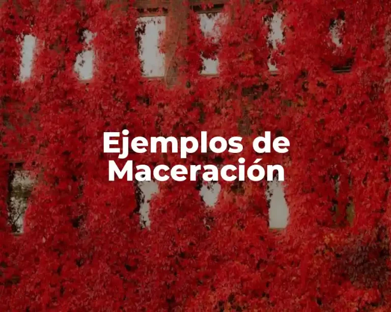 Ejemplos de Maceración