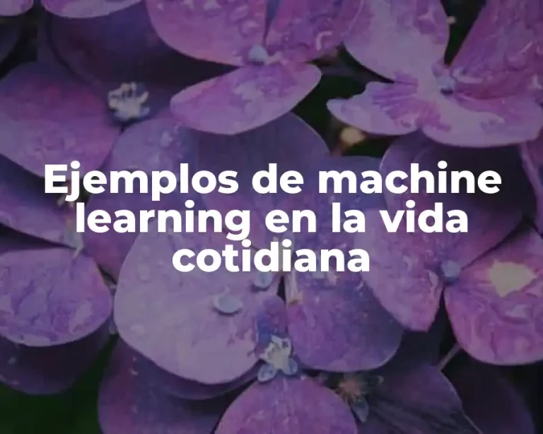 Ejemplos de machine learning en la vida cotidiana