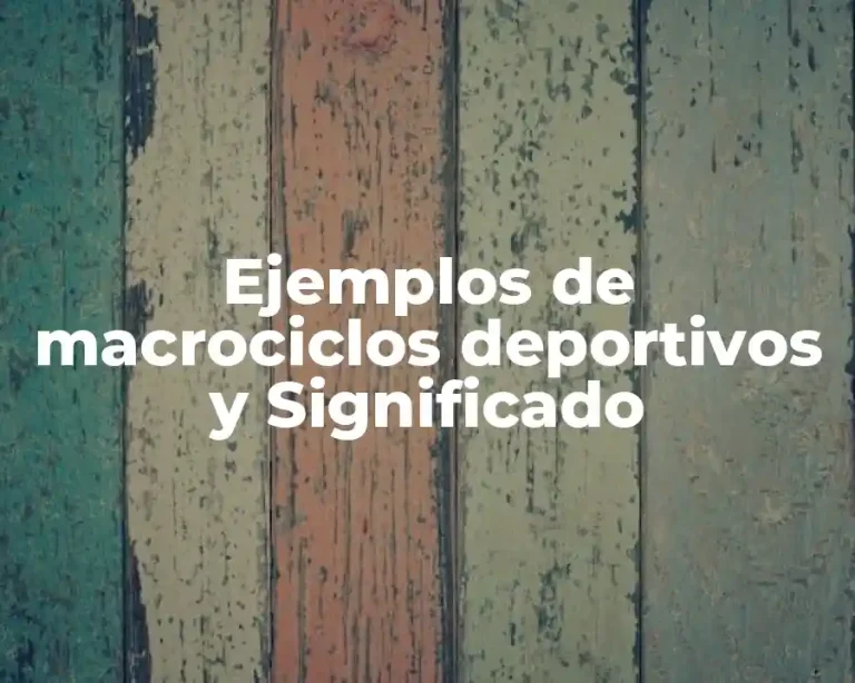 Ejemplos de macrociclos deportivos y Significado