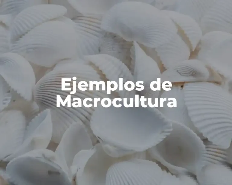 Ejemplos de Macrocultura
