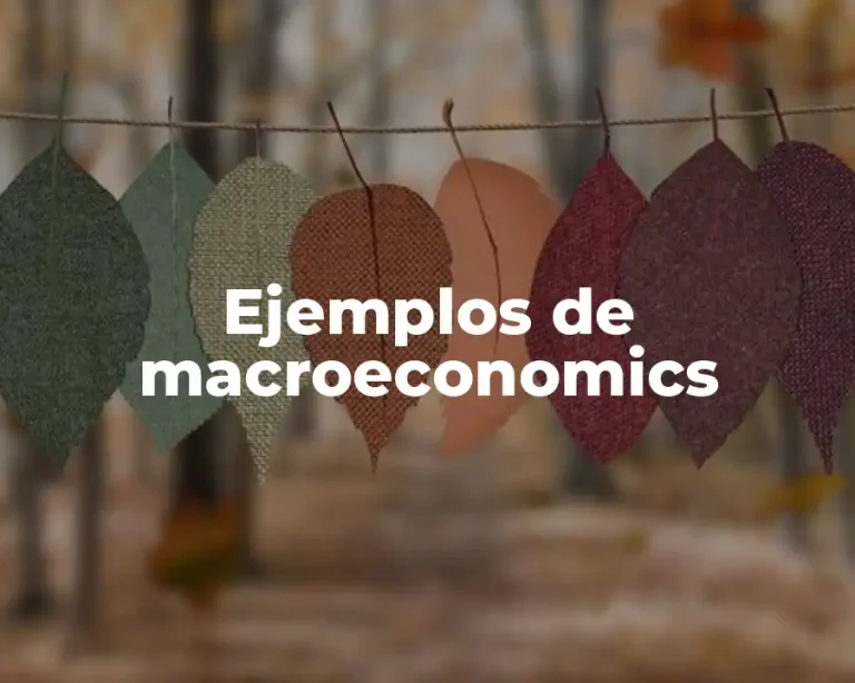 Ejemplos de macroeconomics