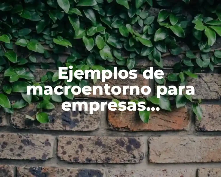 Ejemplos de macroentorno para empresas agroindustriales