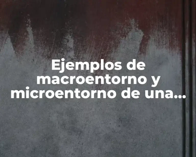 Ejemplos de macroentorno y microentorno de una empresa