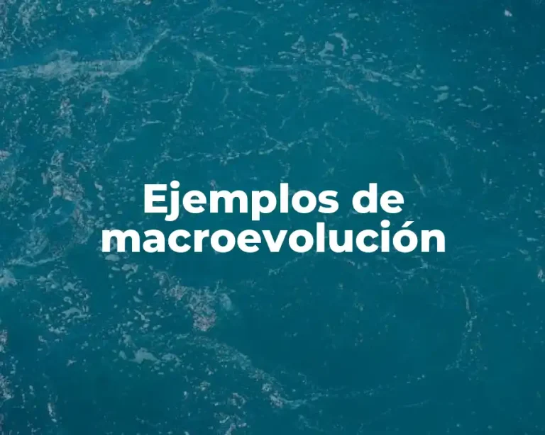 Ejemplos de macroevolución
