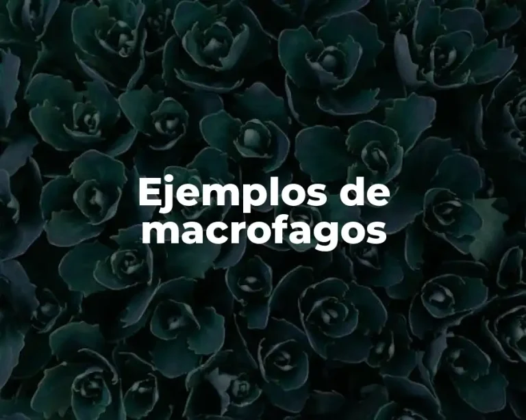 Ejemplos de macrofagos