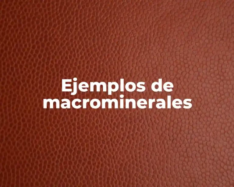 Ejemplos de macrominerales