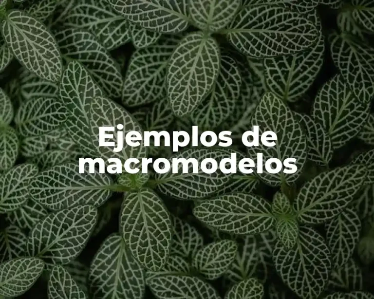 Ejemplos de macromodelos