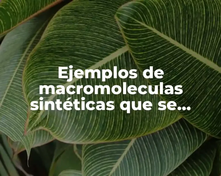 Ejemplos de macromoleculas sintéticas que se utilizan en el hogar