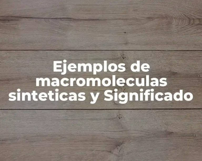 Ejemplos de macromoleculas sinteticas y Significado