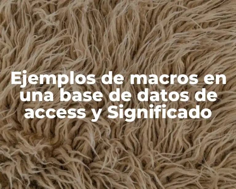 Ejemplos de macros en una base de datos de access y Significado