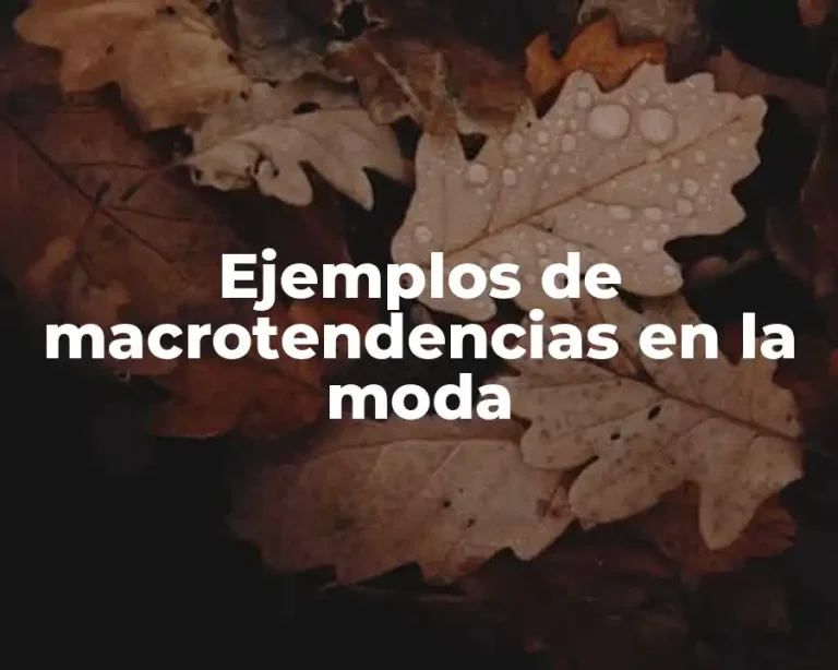 Ejemplos de macrotendencias en la moda