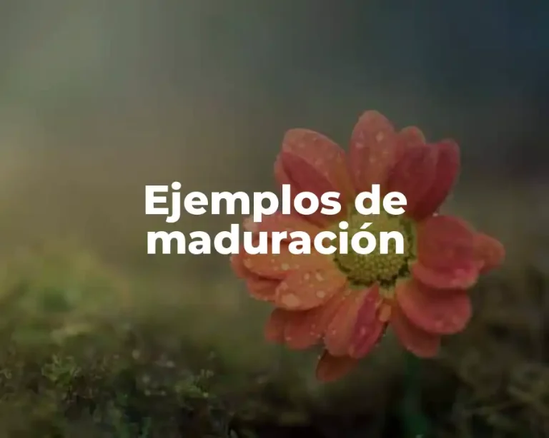 Ejemplos de maduración