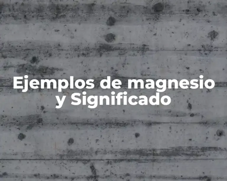 Ejemplos de magnesio y Significado