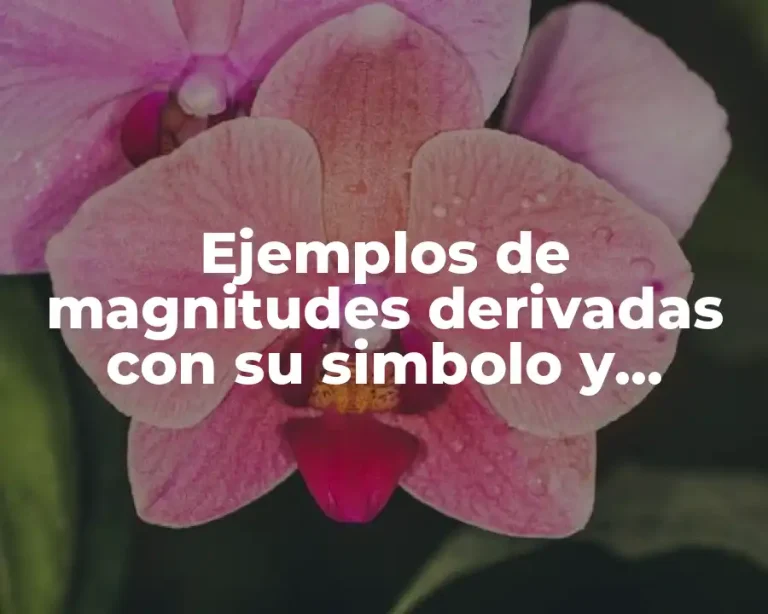 Ejemplos de magnitudes derivadas con su simbolo y significado