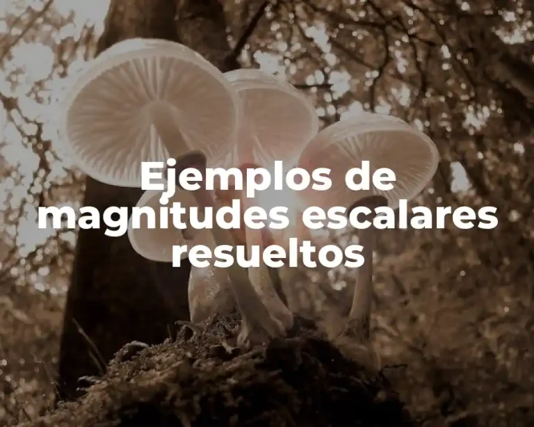 Ejemplos de magnitudes escalares resueltos