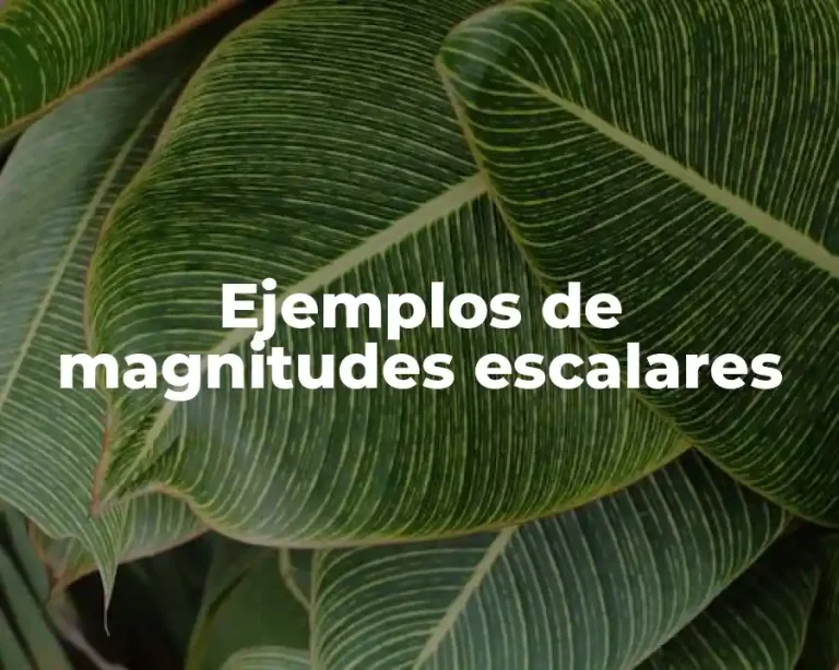 Ejemplos de magnitudes escalares