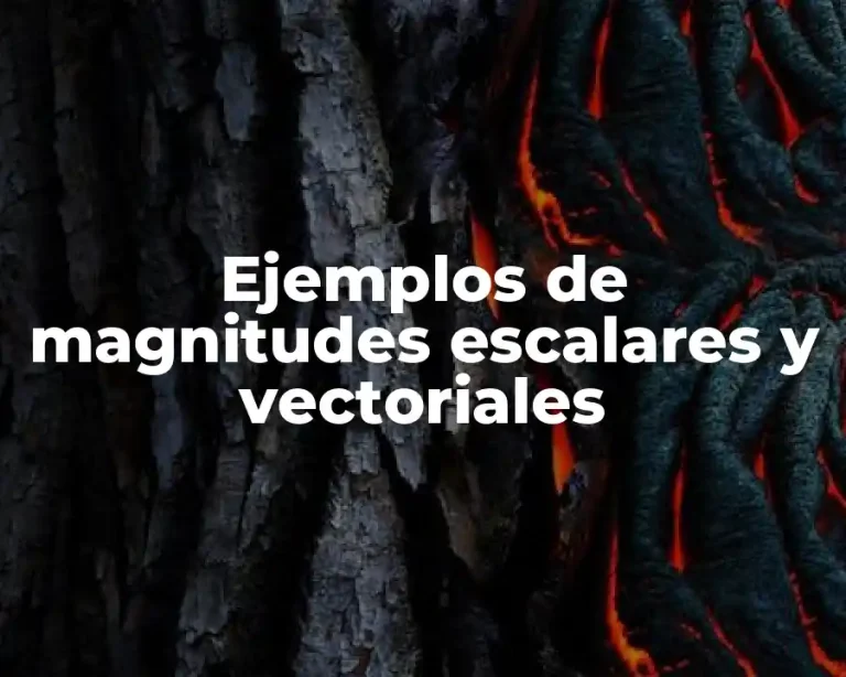 Ejemplos de magnitudes escalares y vectoriales