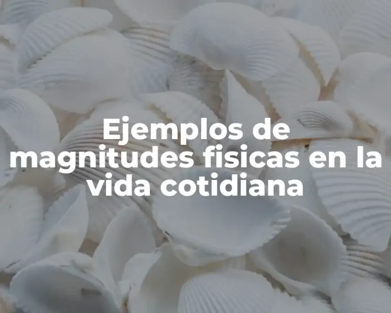 Ejemplos de magnitudes fisicas en la vida cotidiana