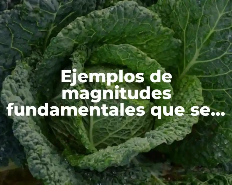 Ejemplos de magnitudes fundamentales que se usan para la química