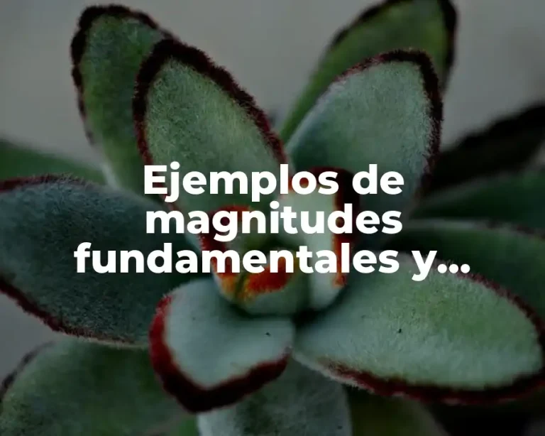 Ejemplos de magnitudes fundamentales y derivadas en la vida cotidiana y Significado