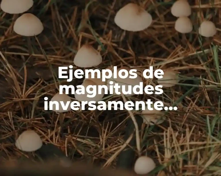 Ejemplos de magnitudes inversamente proporcionales y su gráfica