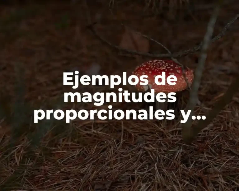 Ejemplos de magnitudes proporcionales y Significado