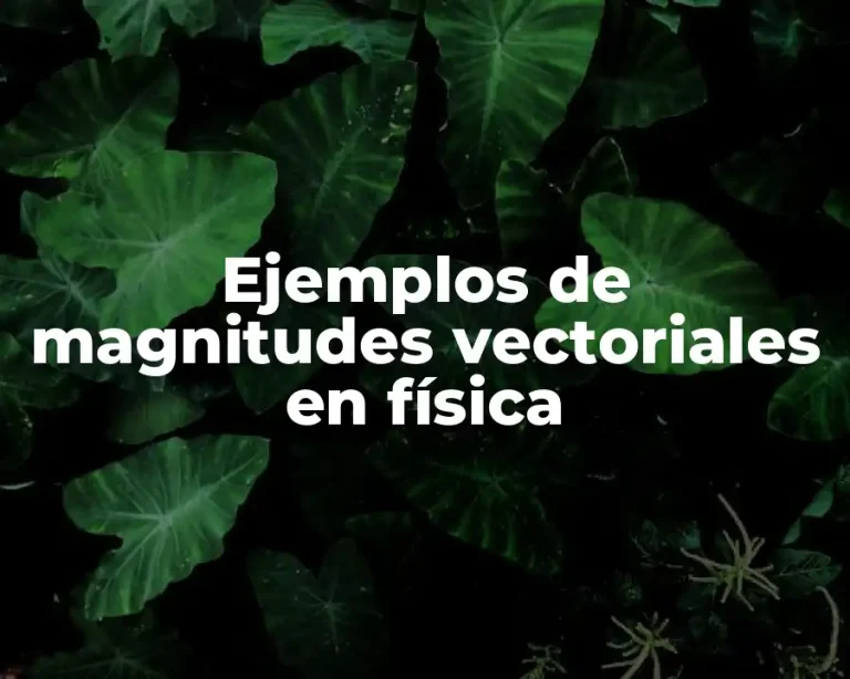 Ejemplos de magnitudes vectoriales en física