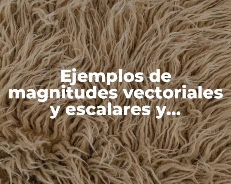 Ejemplos de magnitudes vectoriales y escalares y Significado