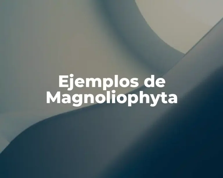Ejemplos de Magnoliophyta