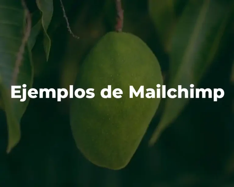 Ejemplos de Mailchimp
