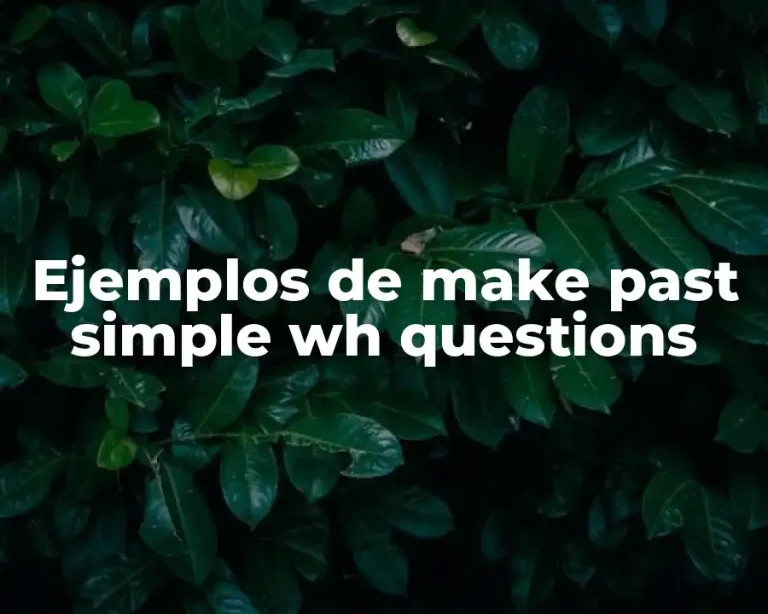 Ejemplos de make past simple wh questions