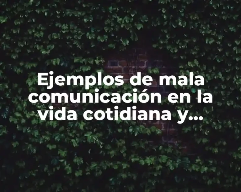 Ejemplos de mala comunicación en la vida cotidiana y Significado