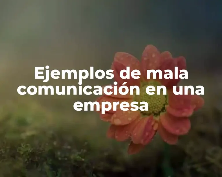 Ejemplos de mala comunicación en una empresa