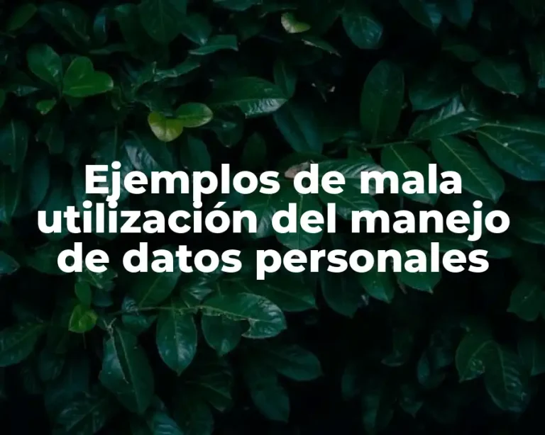 Ejemplos de mala utilización del manejo de datos personales
